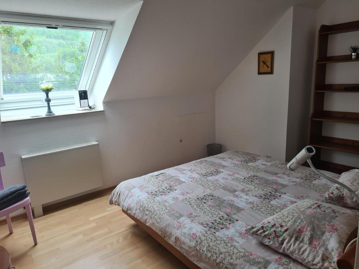 Appartement Paradiso Busingen am Hochrhein Buitenkant foto